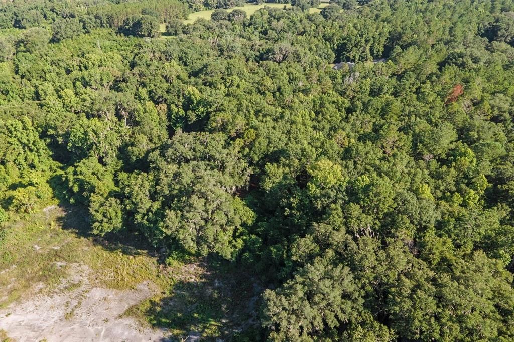 Недавно продано: $135,000 (5.01 acres)