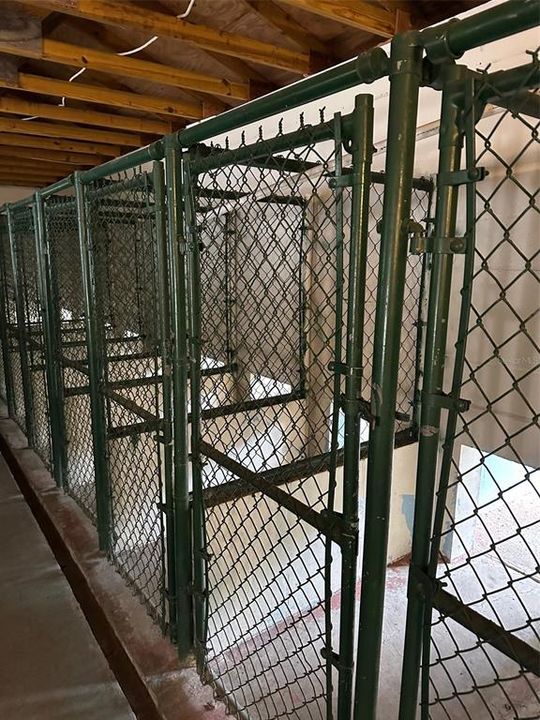 kennels in the extra building