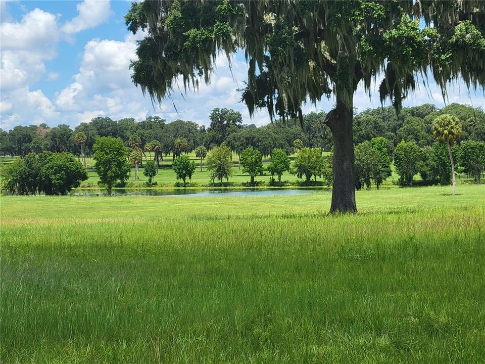 For Sale: $575,000 (10.33 acres)