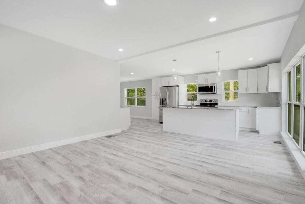 Living Room/Kitchen Combo