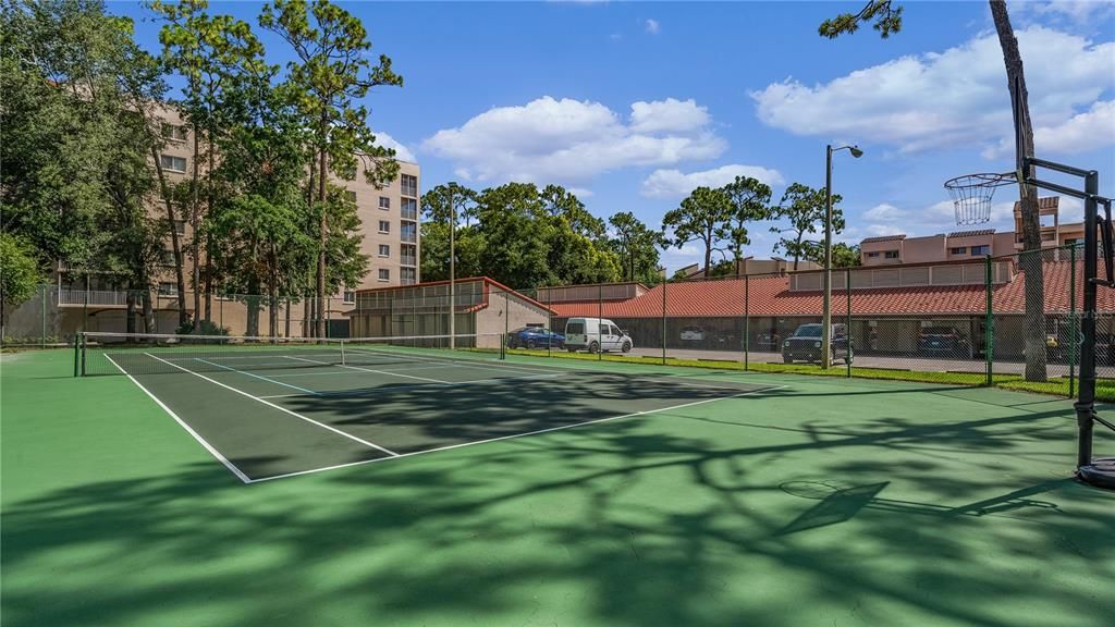 tennis court/pickleball court