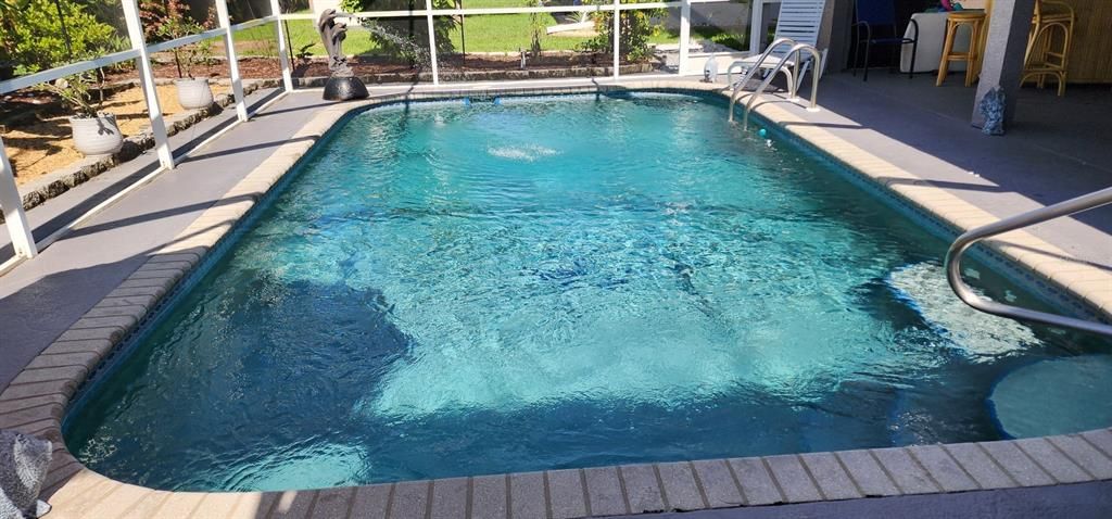 Sparkling Swimming Pool with Dolphin Fountain...