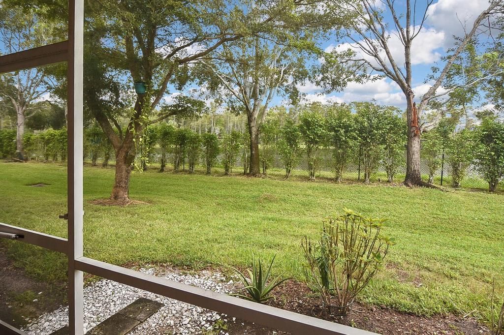 Backyard view from inside the Lanai