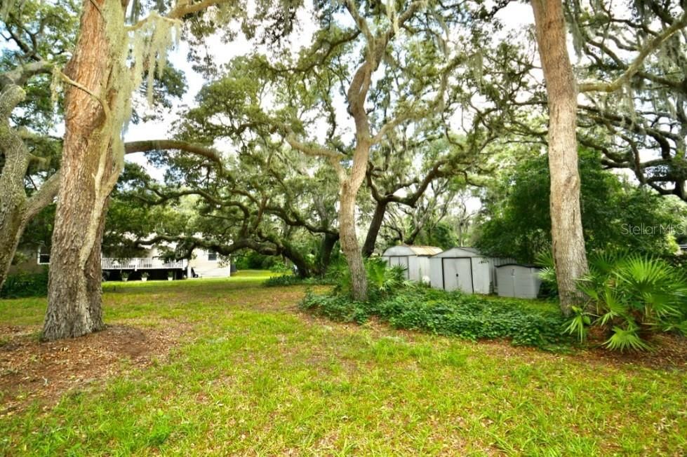 Back Yard with 2 Sheds