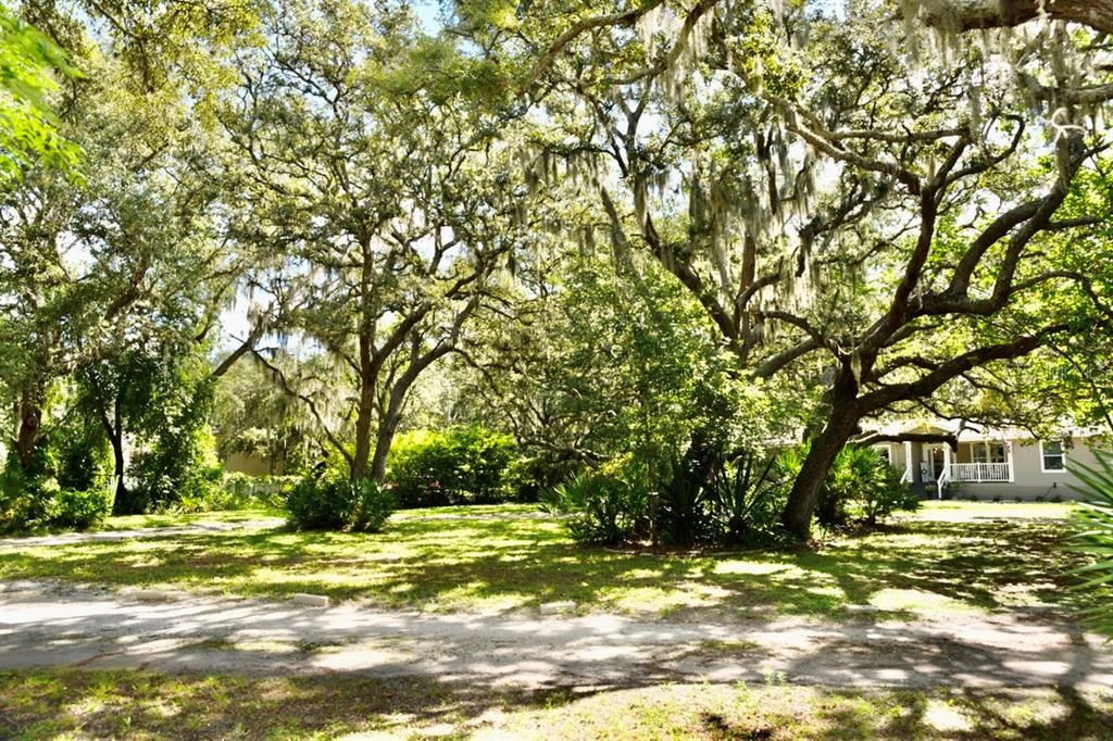 Front Yard with Circular Drive Way