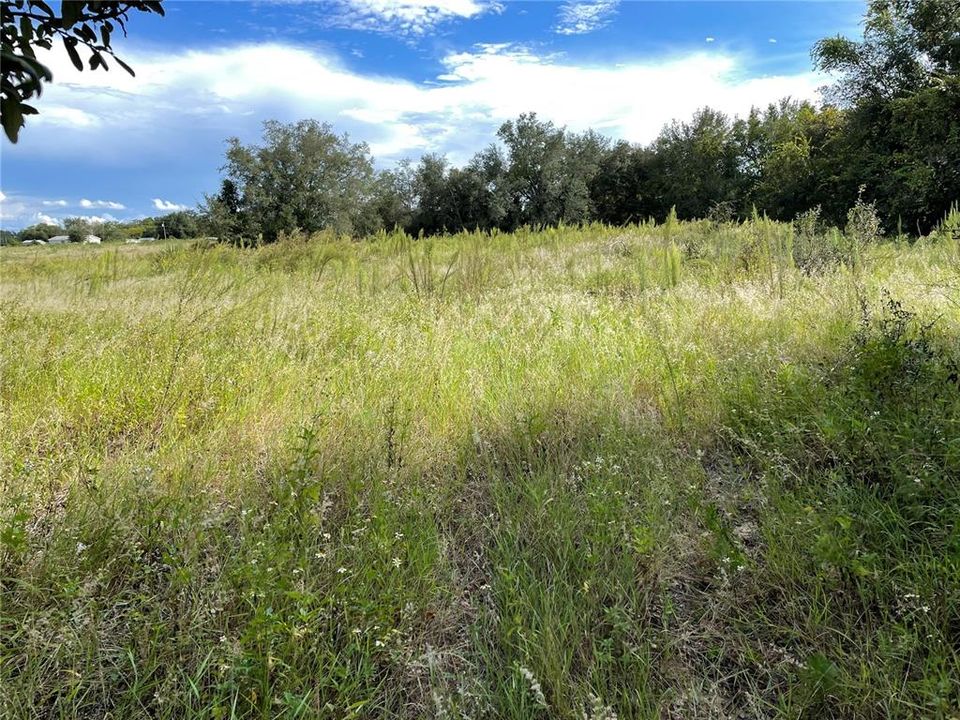 En Venta: $550,000 (4.80 acres)