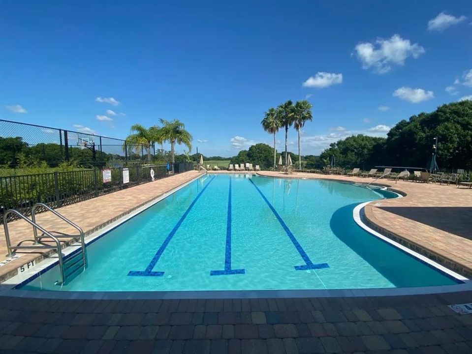 Community Lap Pool