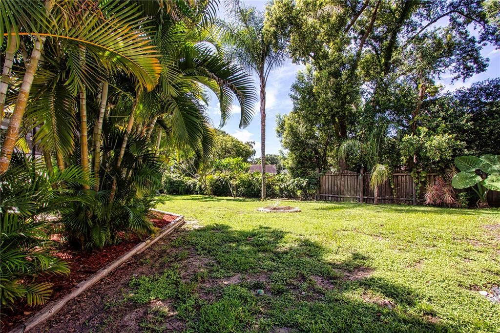 Extra space in the backyard, behind the pool. All fenced in