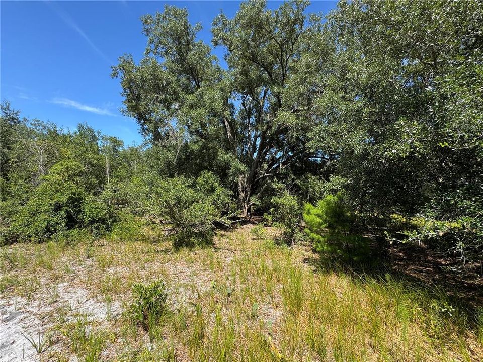 For Sale: $6,900,000 (364.77 acres)