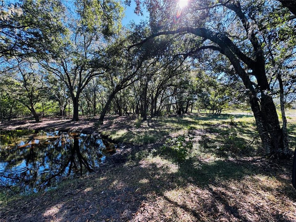 For Sale: $6,900,000 (364.77 acres)