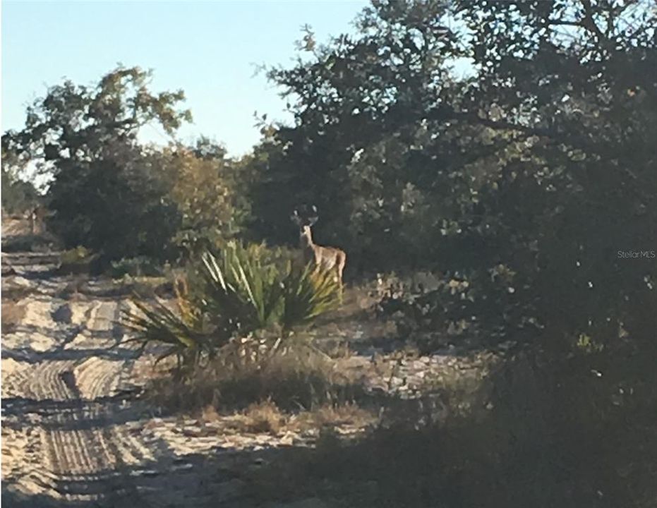 For Sale: $6,900,000 (364.77 acres)