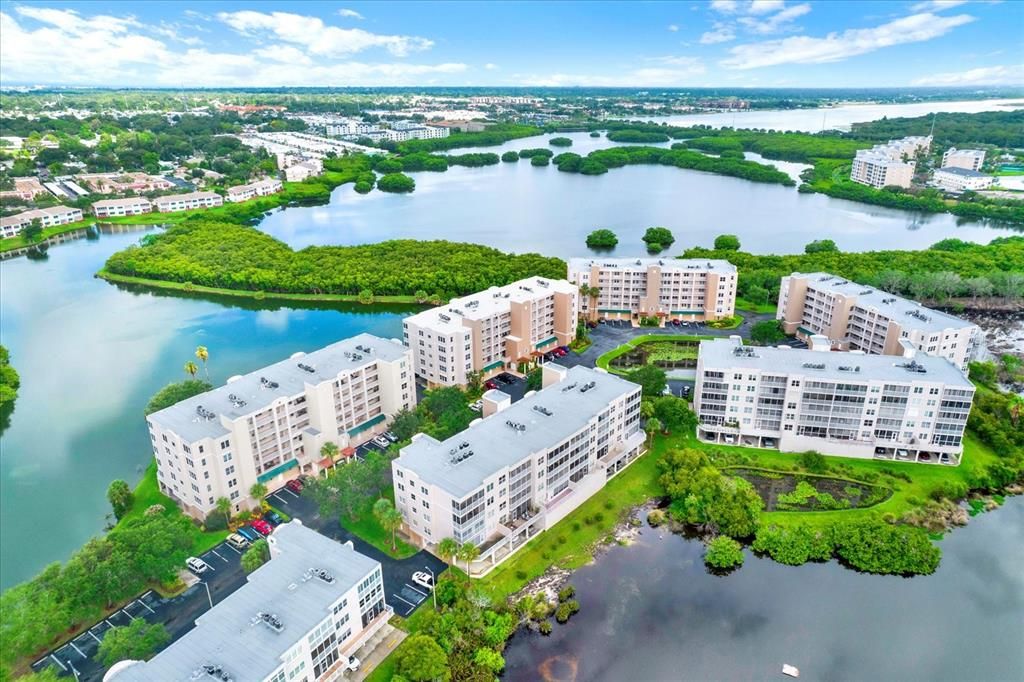 Aerial View of Community