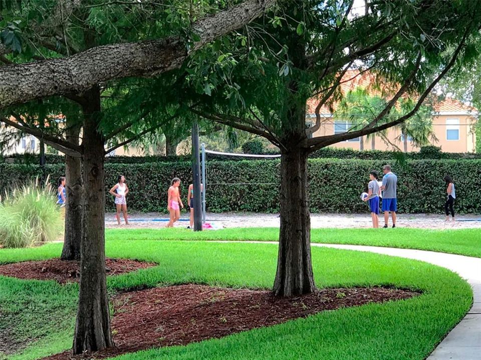 Volleyball Court