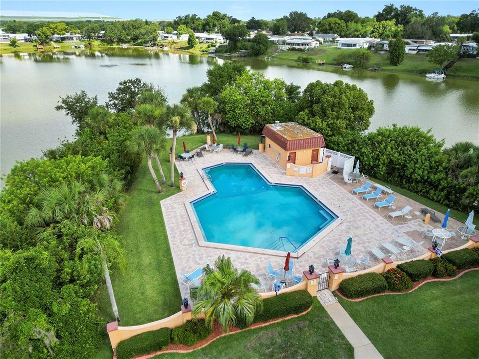 Community Pool at Floral Lakes 55+ Community