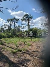 En Venta: $39,500 (0.26 acres)