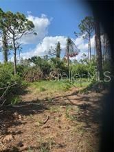 En Venta: $39,500 (0.26 acres)