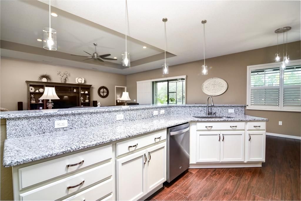 Open floorplan kitchen/living room/dining room