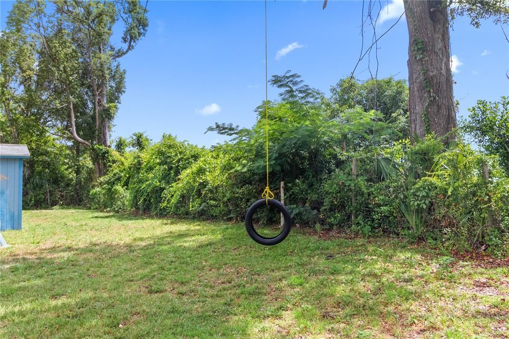 Tire swing in the backyard!