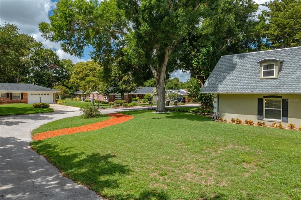 Street view looking back at house