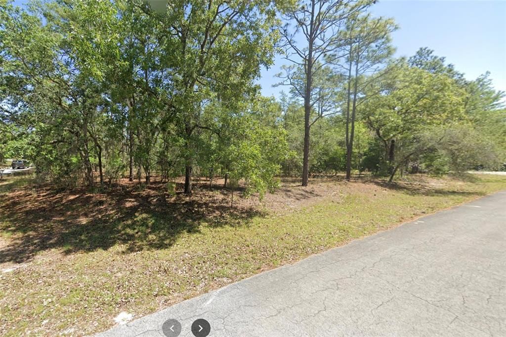 For Sale: $49,995 (1.01 acres)