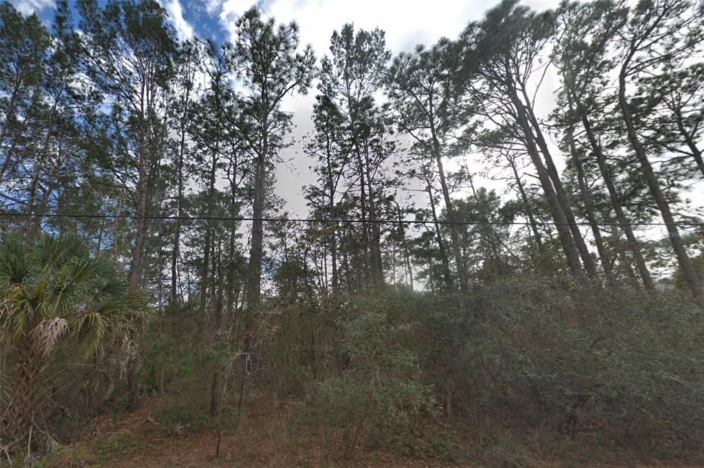 En Venta: $84,900 (1.81 acres)