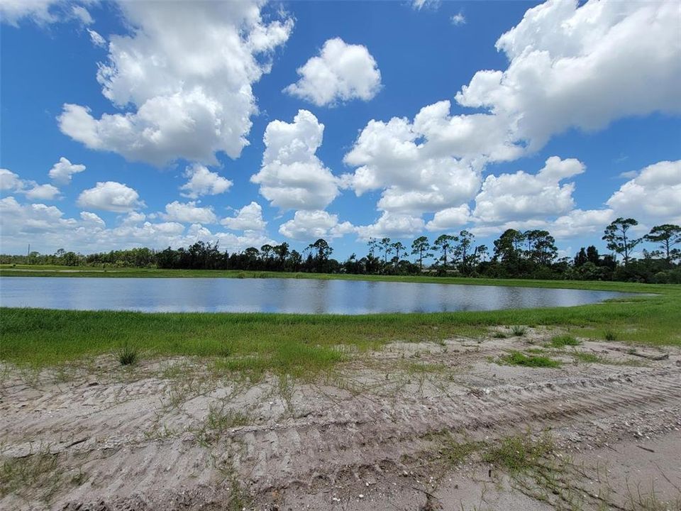 Tamiami Craftsman (Home Site #152) Backyard water view