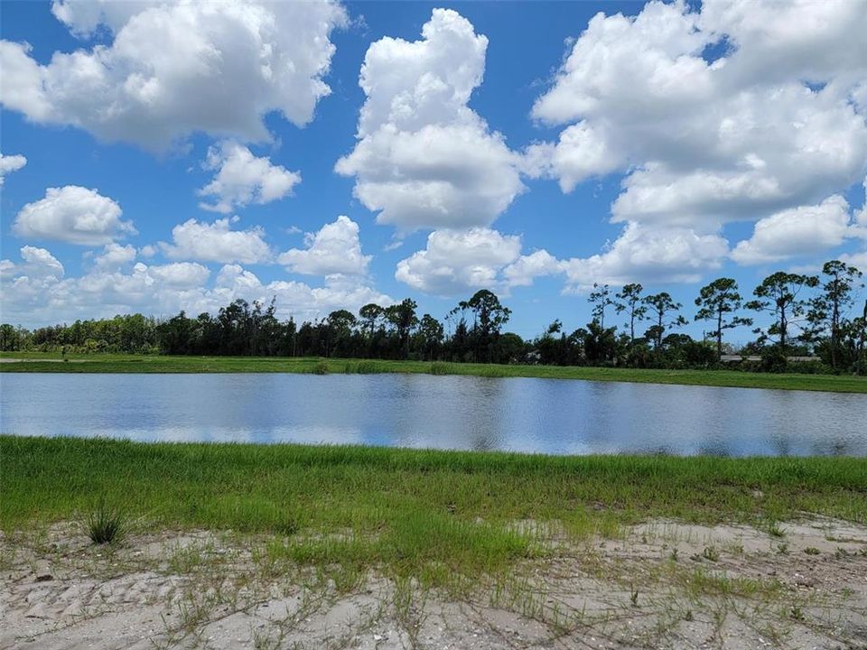 Tamiami Craftsman (Home Site #152) Backyard water view