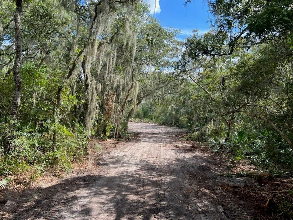 En Venta: $219,000 (8.03 acres)