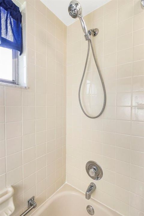 Main bathroom shower and tub.