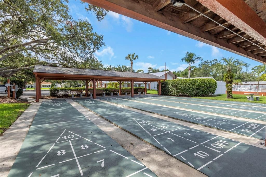 Shuffle board courts