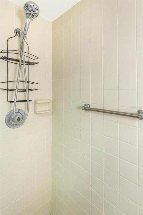 Primary ensuite shower