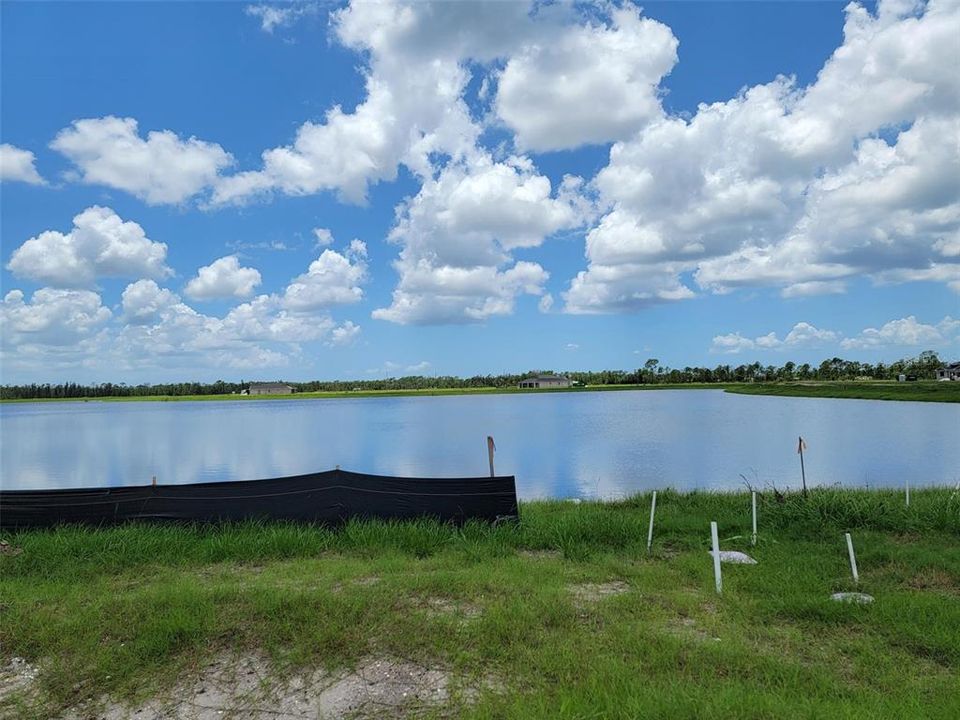 Canon Craftsman (home Site #343) Backyard water view-- western exposure