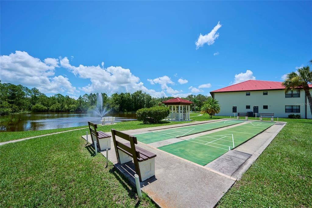 Community shuffleboard courts