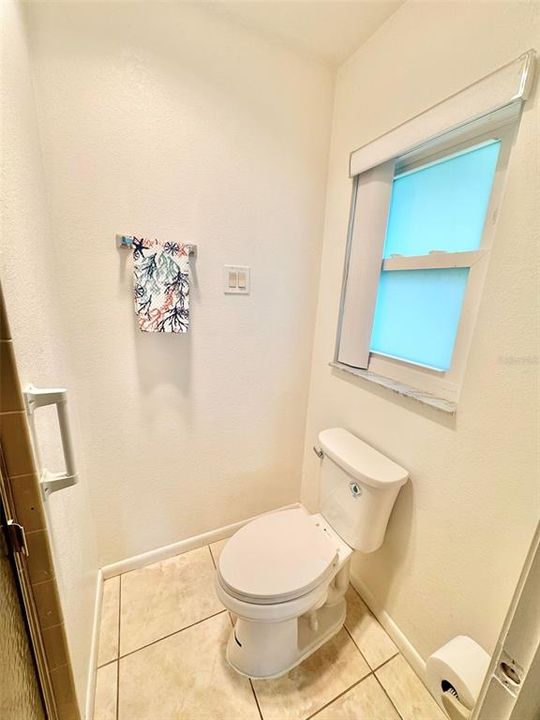 Master bathroom toilet