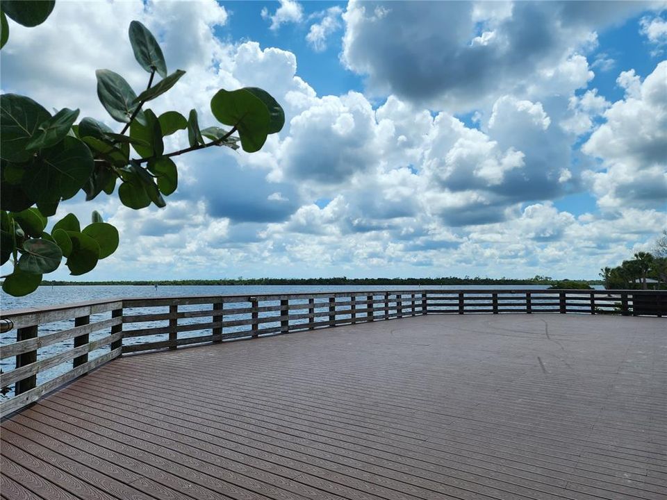 Charlotte Harbor