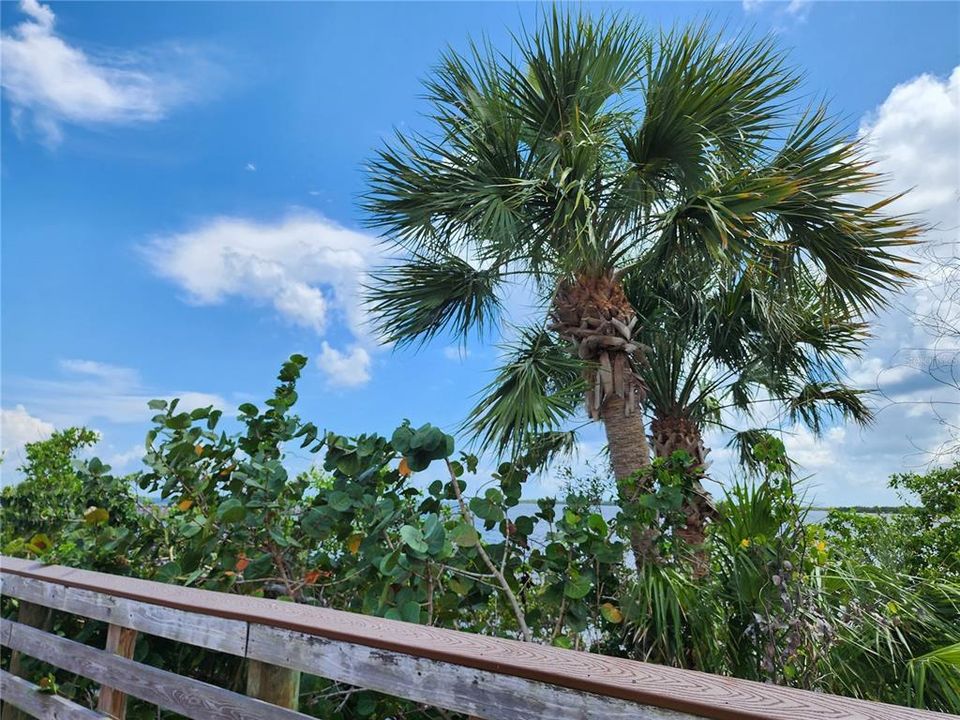 Charlotte Harbor