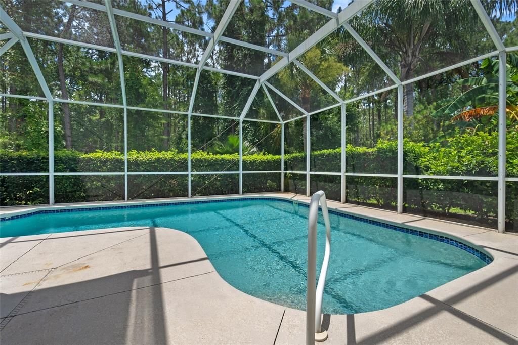 Saltwater Pool w/Privacy Bushes