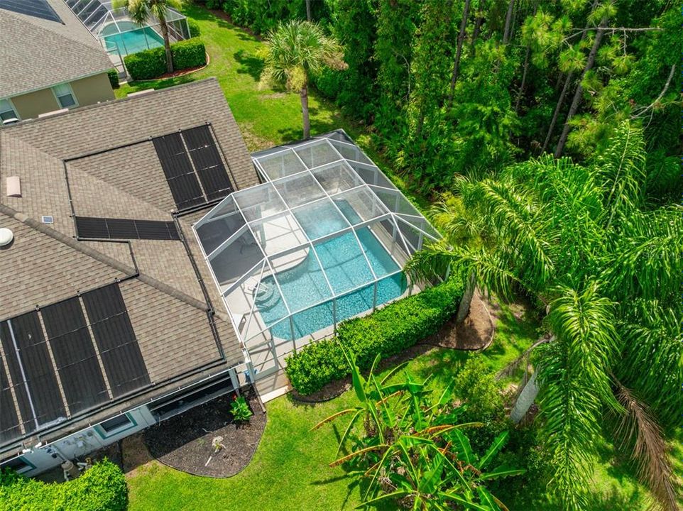 Aerial View of Pool