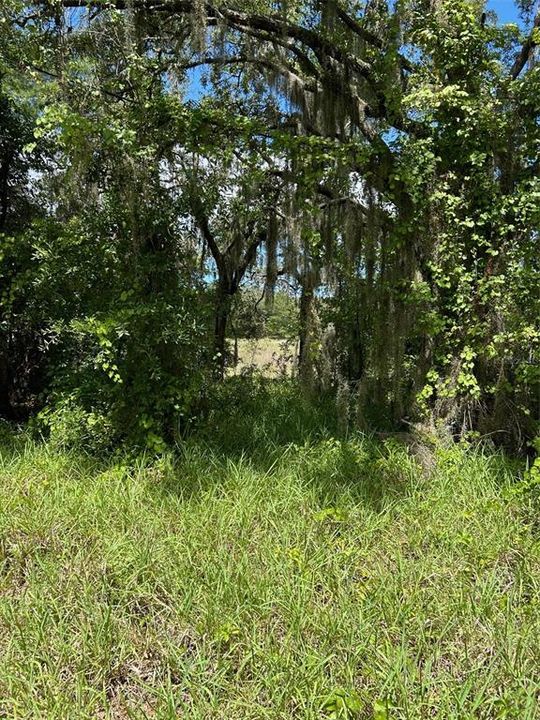 Active With Contract: $89,000 (1.81 acres)