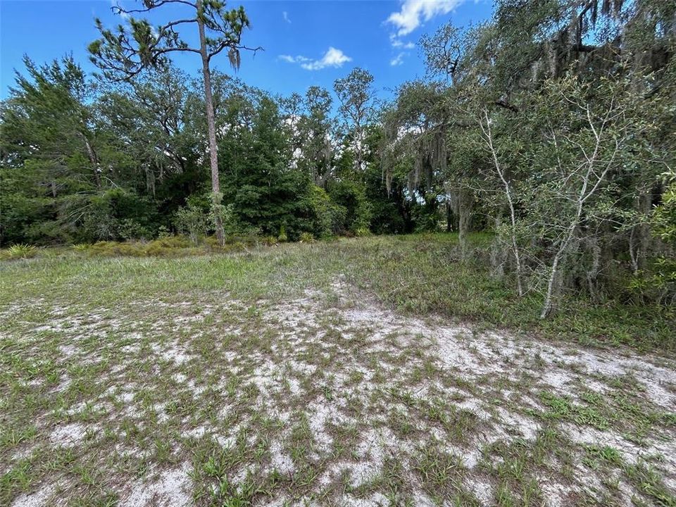 Active With Contract: $89,000 (1.81 acres)