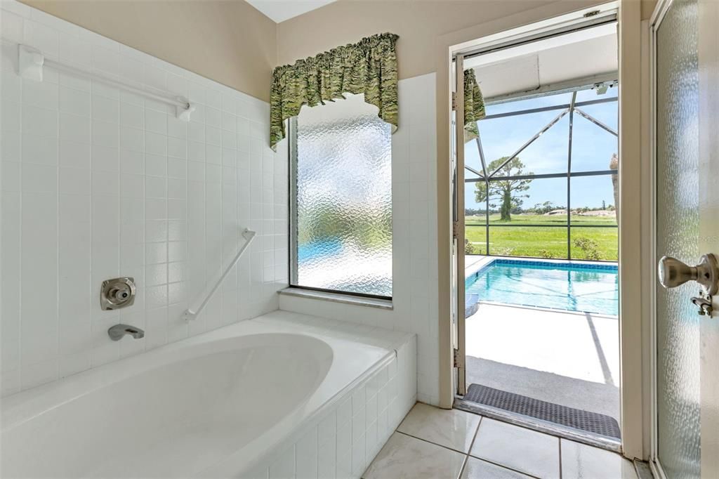 Master Bathroom Tub