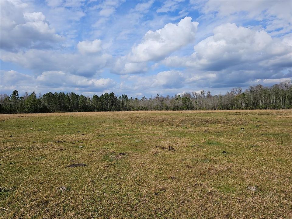 For Sale: $9,500 (1.25 acres)