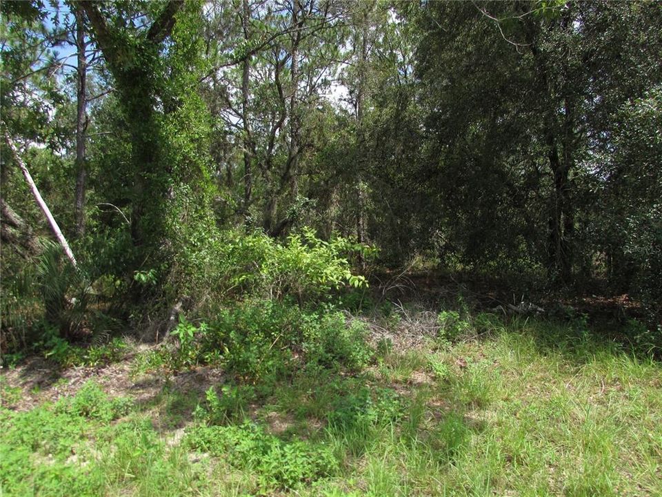 Active With Contract: $23,000 (0.99 acres)