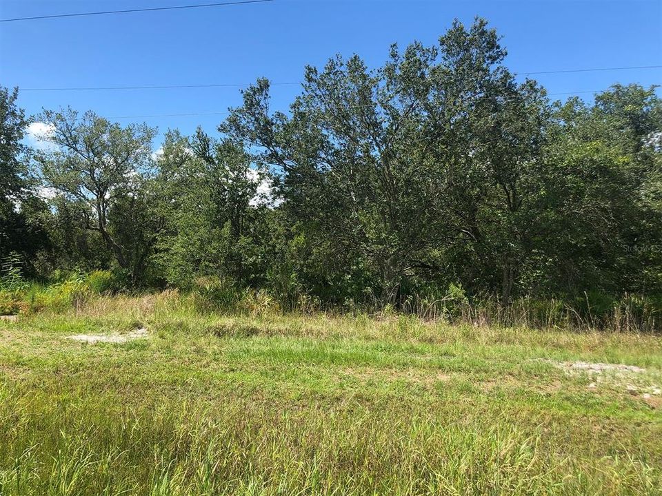 For Sale: $90,000 (1.22 acres)