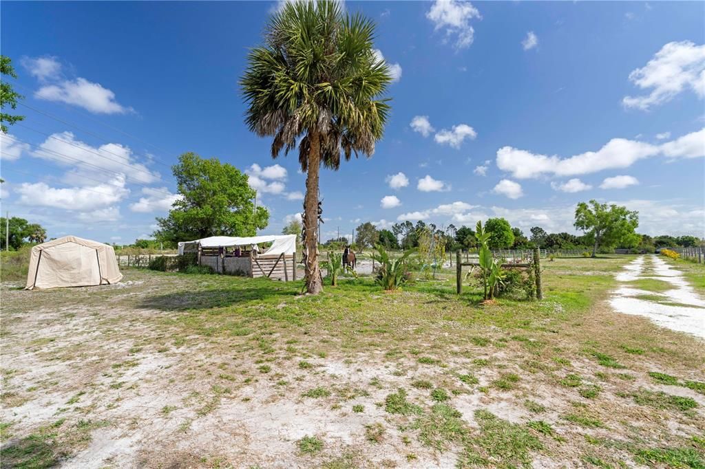 For Sale: $360,000 (7.38 acres)