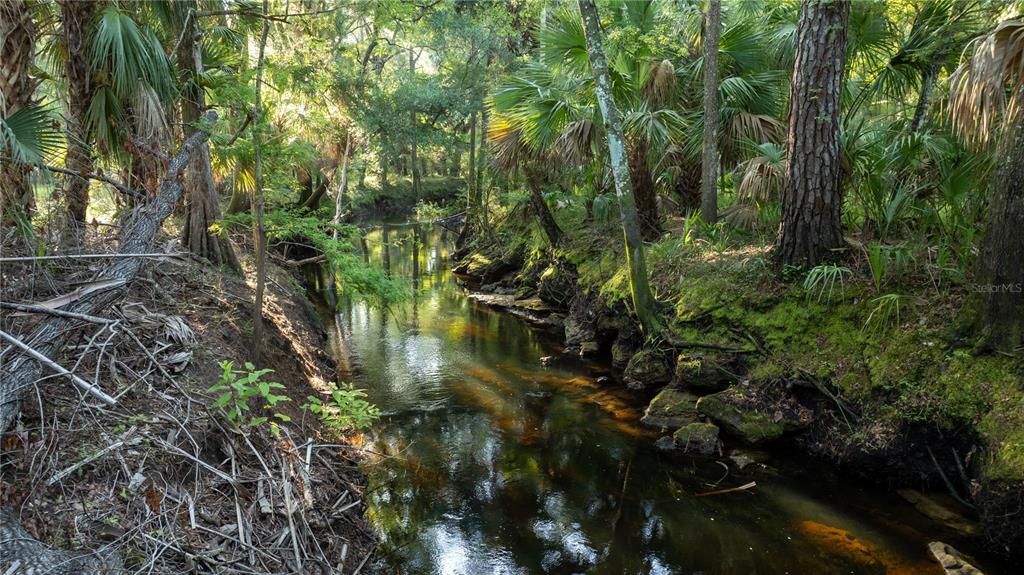 На продажу: $199,000 (35.83 acres)