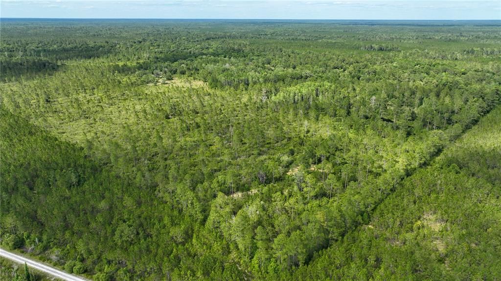 На продажу: $199,000 (35.83 acres)