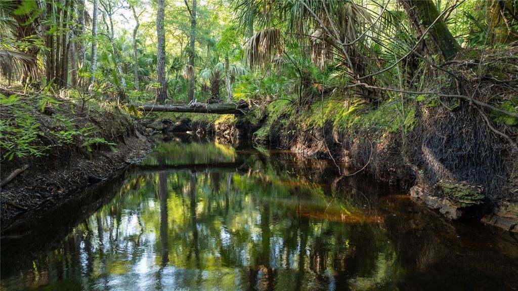 На продажу: $199,000 (35.83 acres)