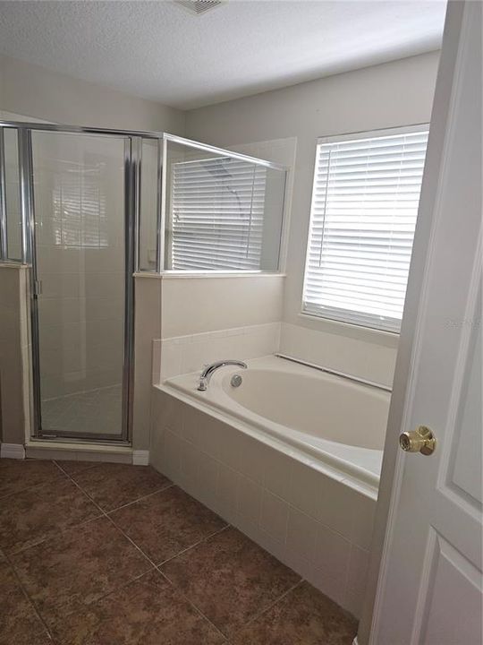 Master Bath Tub