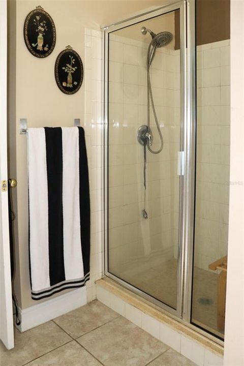 Primary Bath - Shower